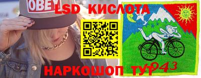 jwh Бердск