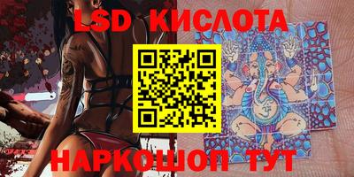 jwh Бердск