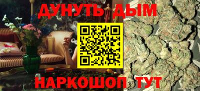 jwh Бердск