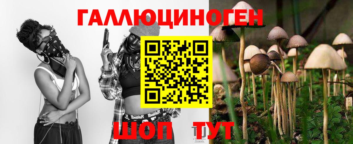 Псилоцибиновые грибы ЛСД  Вход с VPN  Нижний Новгород 